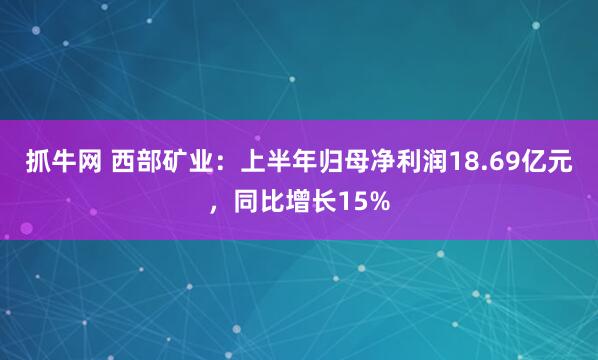 抓牛网 西部矿业：上半年归母净利润18.69亿元，同比增长15%