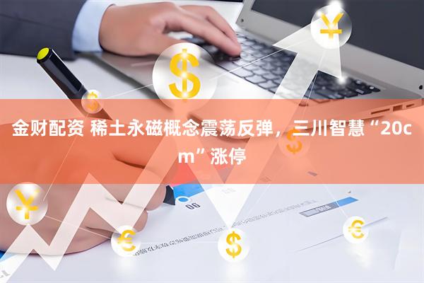 金财配资 稀土永磁概念震荡反弹，三川智慧“20cm”涨停